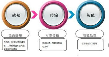 萬(wàn)物智聯(lián)，未來(lái)已來(lái) 科技巨頭布局下的物聯(lián)網(wǎng)發(fā)展趨勢(shì)與通信系統(tǒng)集成挑戰(zhàn)